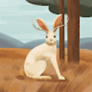 Meet your Posher, Nicholas